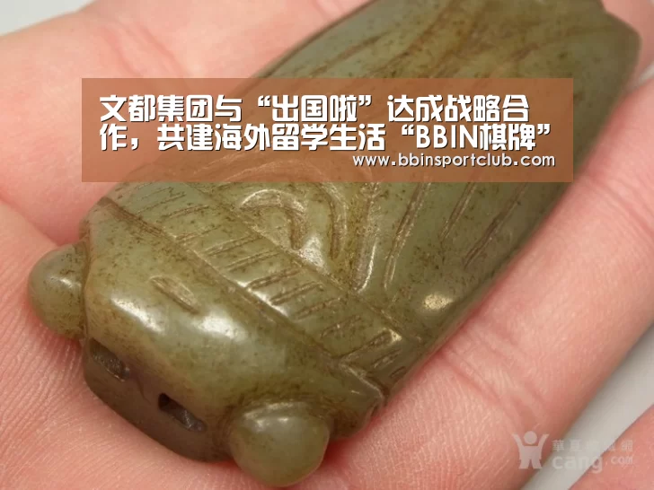 BBIN视讯