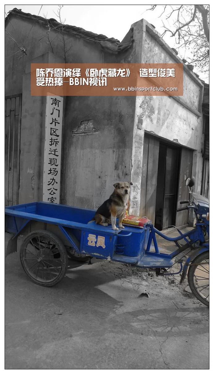 陈乔恩演绎《卧虎藏龙》 造型俊美受热捧-BBIN视讯(图1) BBIN视讯