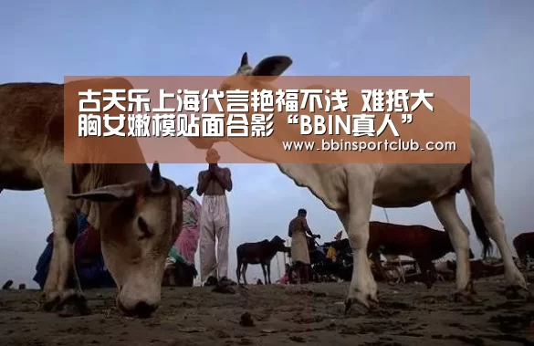 古天乐上海代言艳福不浅 难抵大胸女嫩模贴面合影“BBIN真人”(图1) BBIN棋牌
