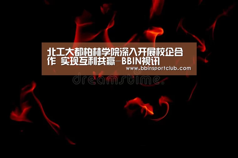 北工大都柏林学院深入开展校企合作 实现互利共赢-BBIN视讯(图1) BBIN真人
