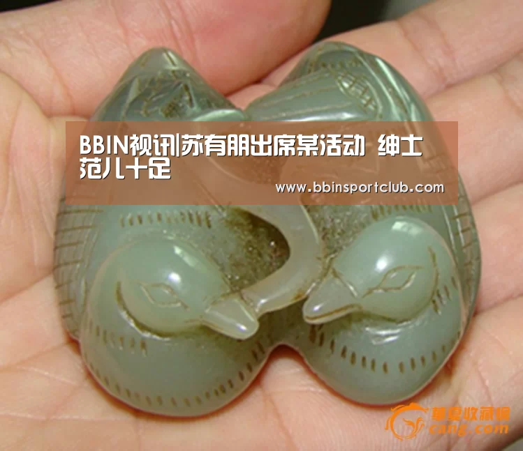 BBIN视讯|苏有朋出席某活动 绅士范儿十足(图1) BBIN棋牌