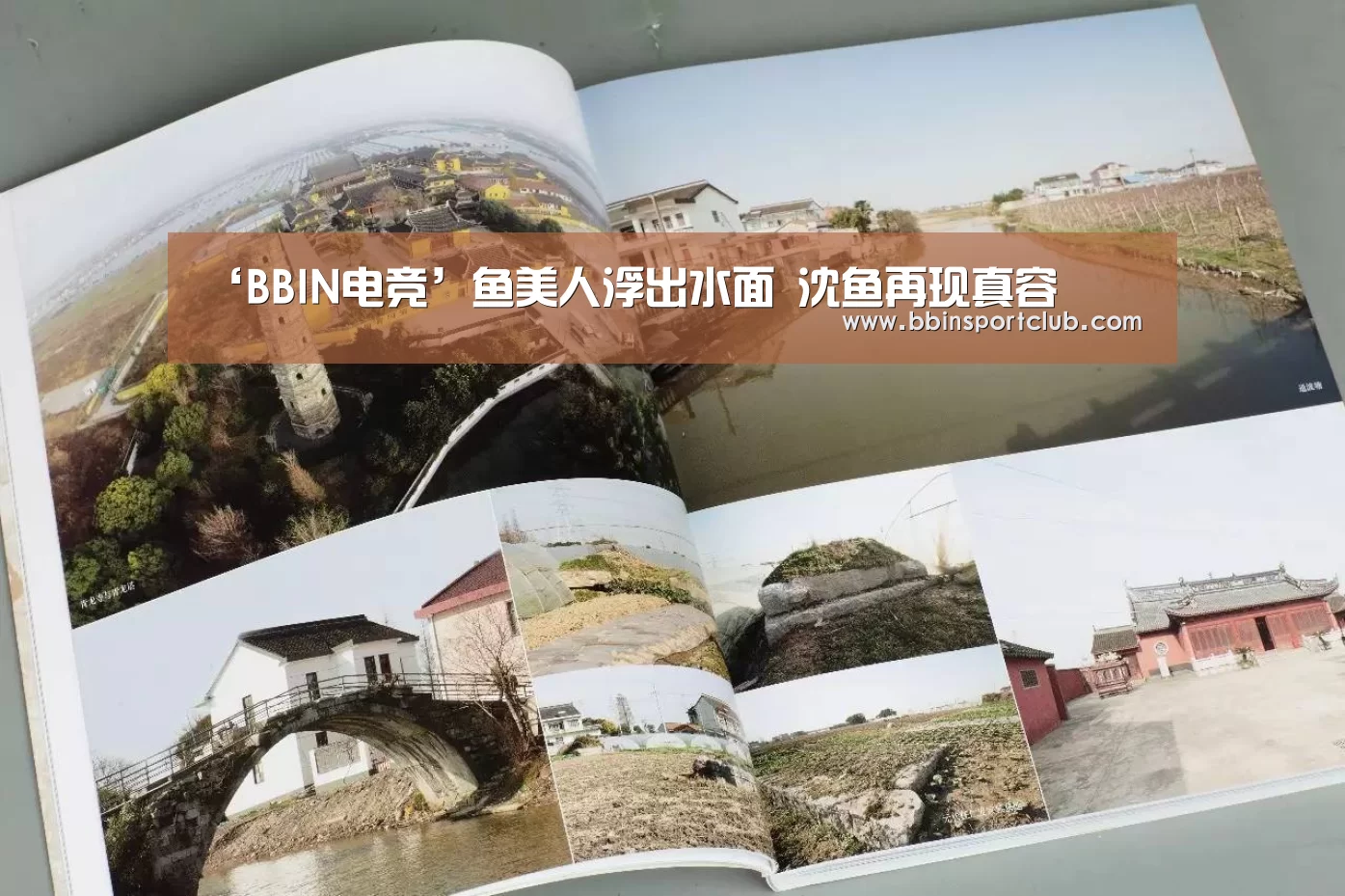 ‘BBIN电竞’鱼美人浮出水面 沈鱼再现真容(图1) BBIN棋牌